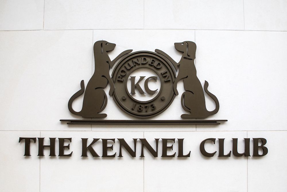 Editorial: April 25, 2025